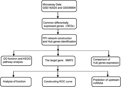 Identification of biomarkers and prediction of upstream miRNAs in diabetic nephropathy